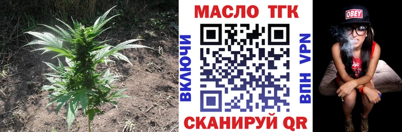 Дистиллят ТГК концентрат  Купить закладки  Шумиха 